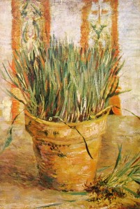 Vincent van Gogh: Pianta d’aglio, Amsterdam Rijksmuseum V. V. G.
